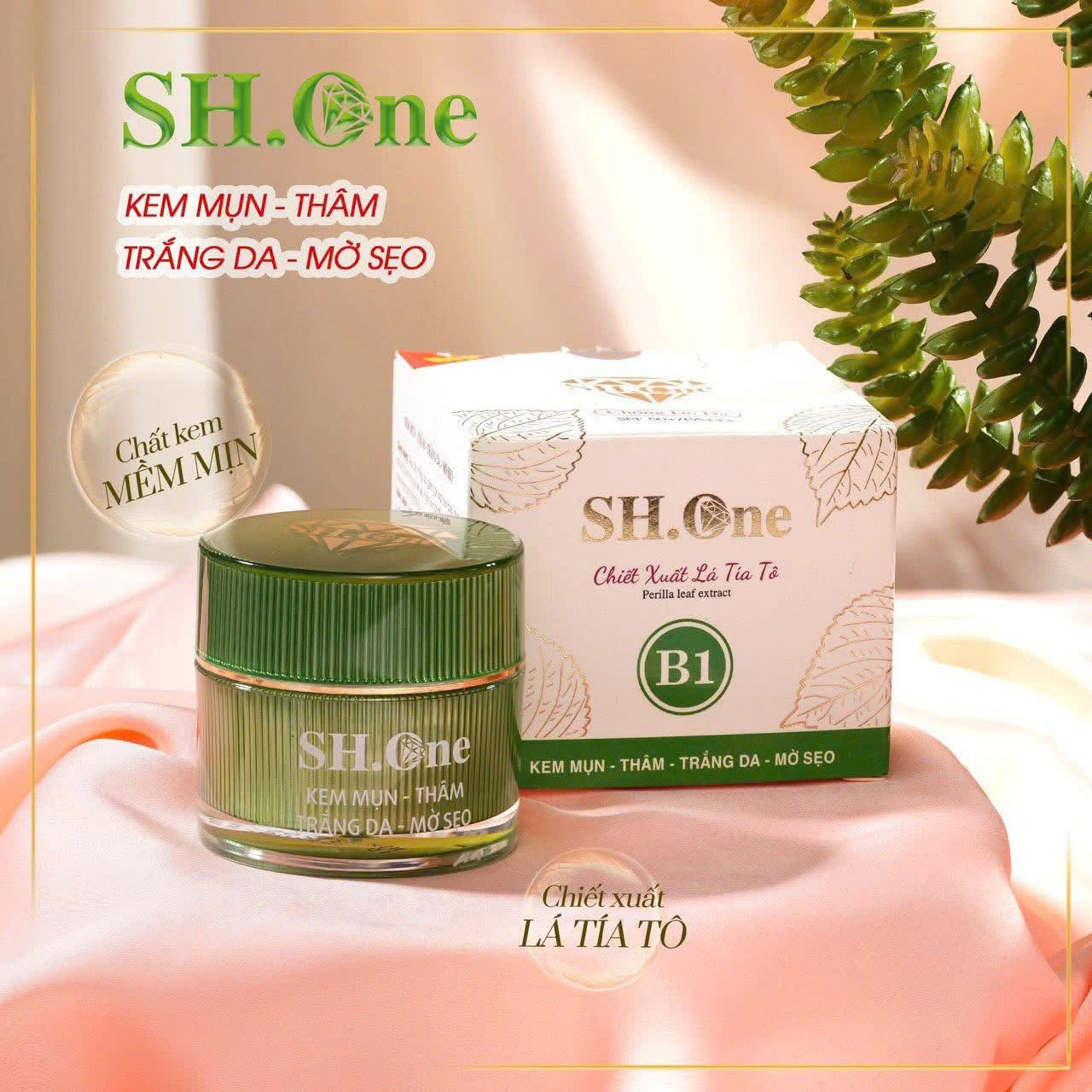 z7059577566729_63ed125566bd03eba94e6e1ea89d7256